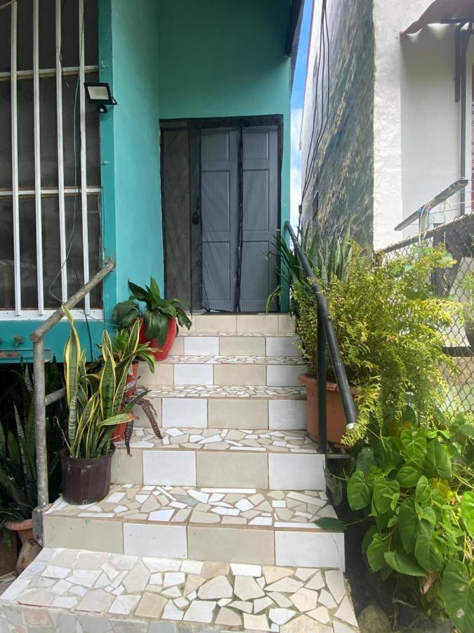Blue Morpho House B&B Мануель-Антоніо Екстер'єр фото