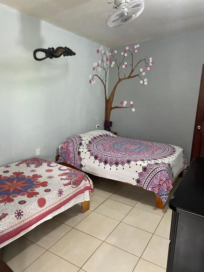 Blue Morpho House B&B Мануель-Антоніо Екстер'єр фото