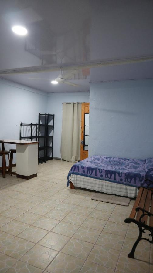 Blue Morpho House B&B Мануель-Антоніо Екстер'єр фото